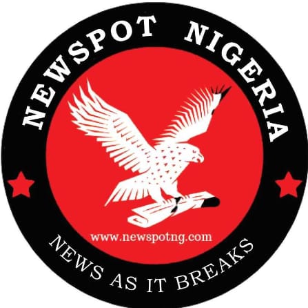 Newspot Nigeria Logo